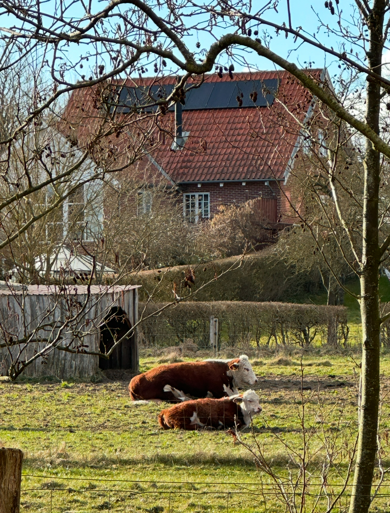 composition