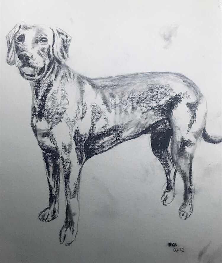drawing