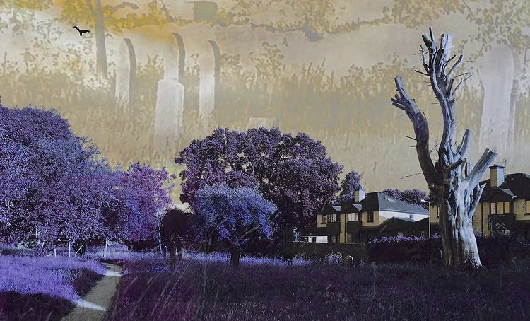 graveyard